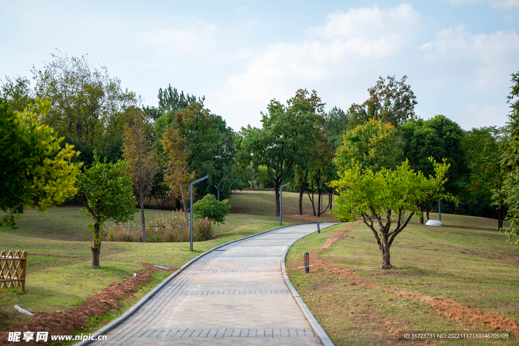 公园风景 园林风景