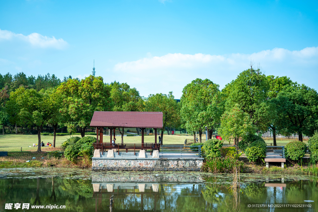 公园风景 