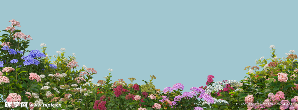 景观树枝树叶元素PSD素材