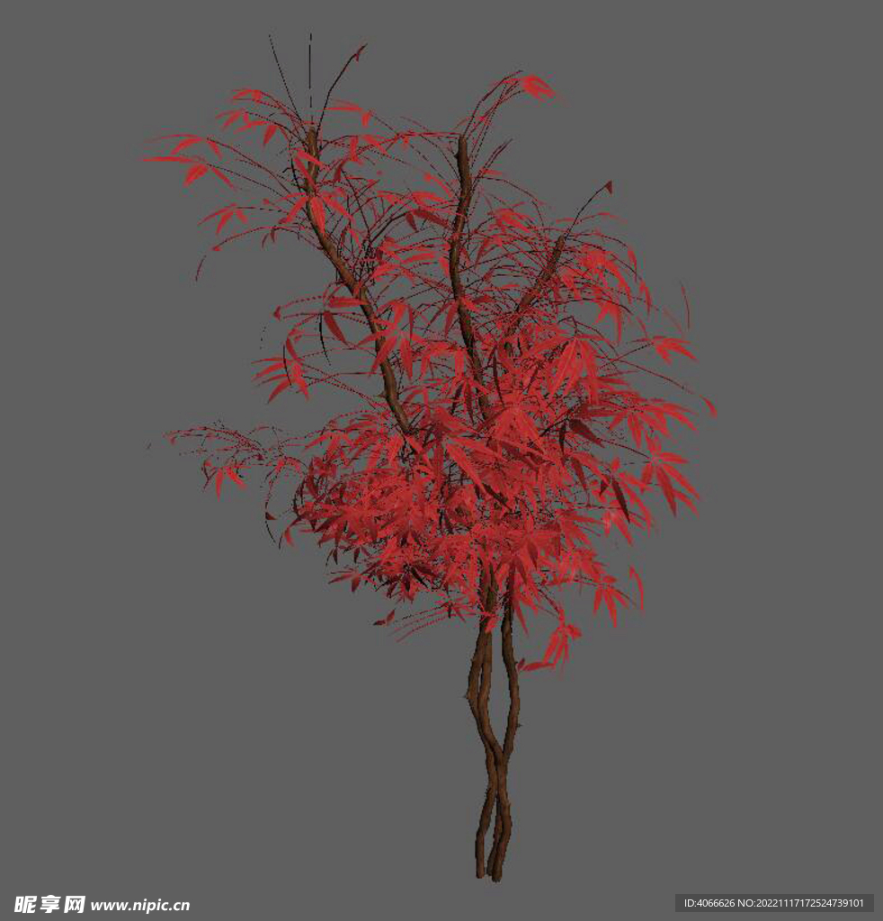 红色植物3d模型