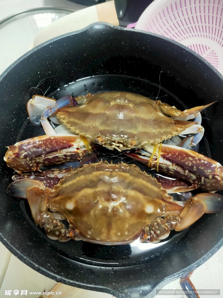 梭子蟹