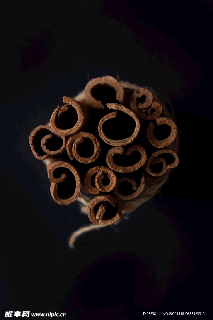 桂皮