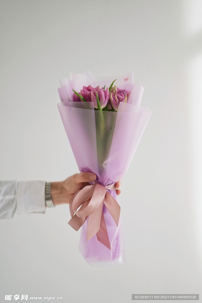 郁金香花束