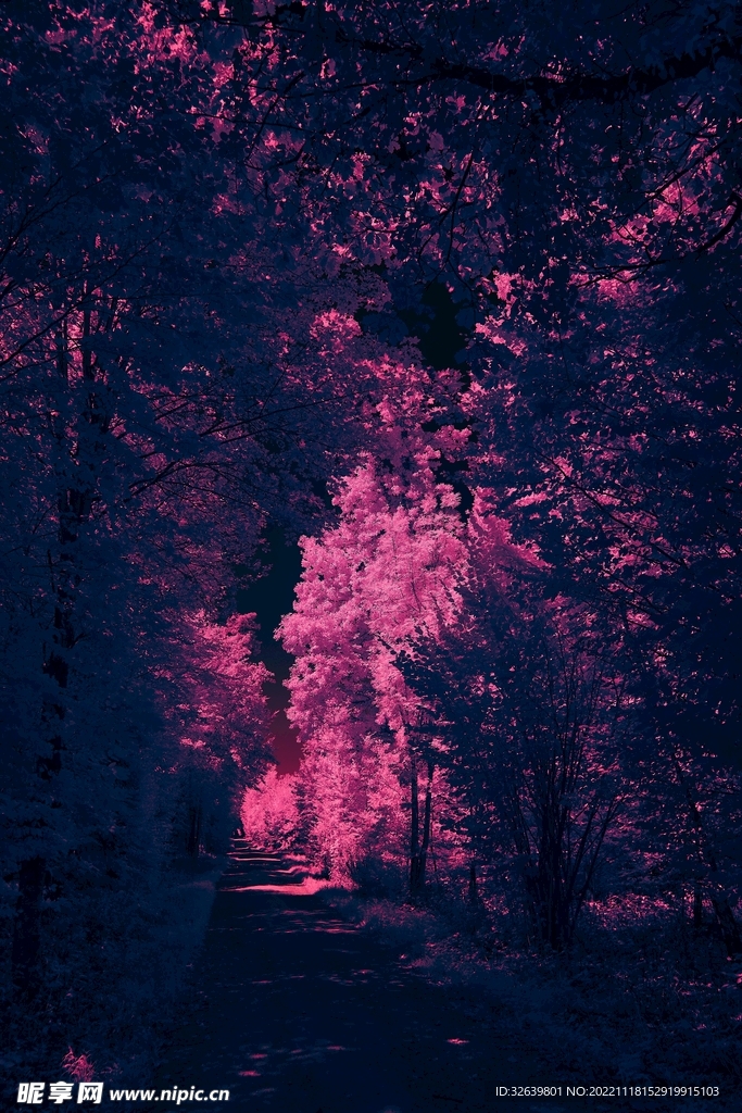 树林