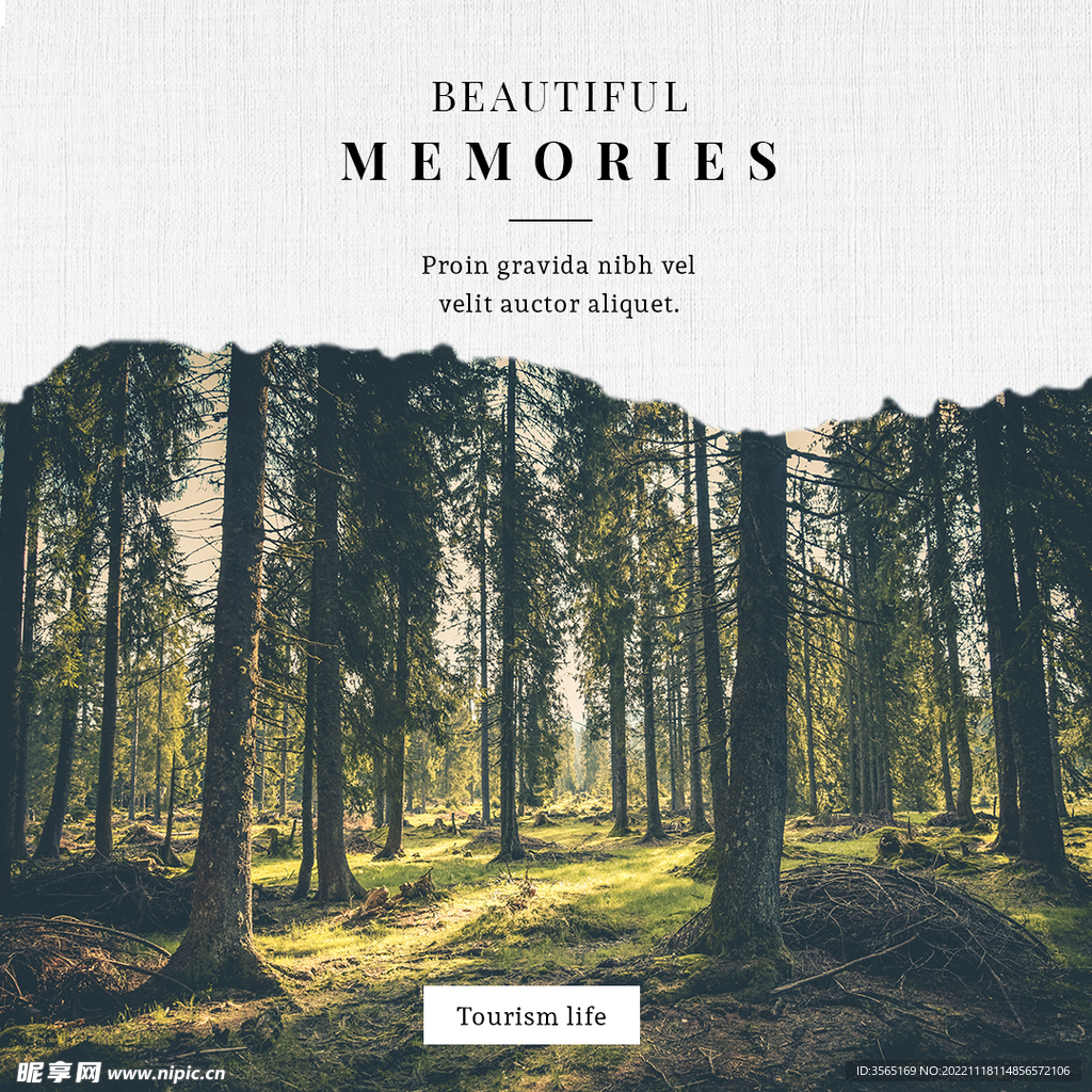 撕纸效果画册海报PSD模板