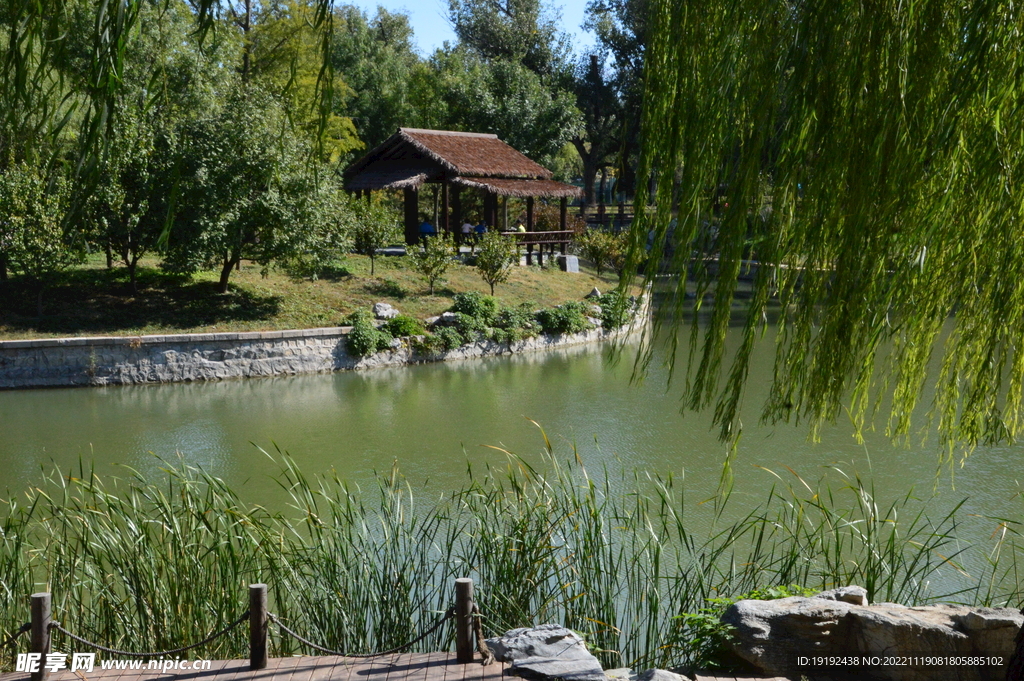 公园风景 