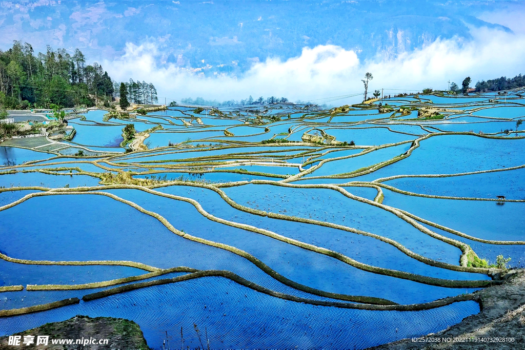 元阳哈尼梯田风光