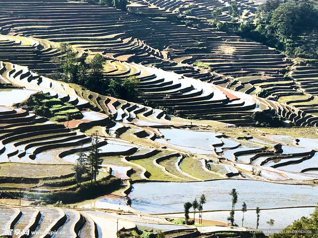 元阳哈尼梯田风光