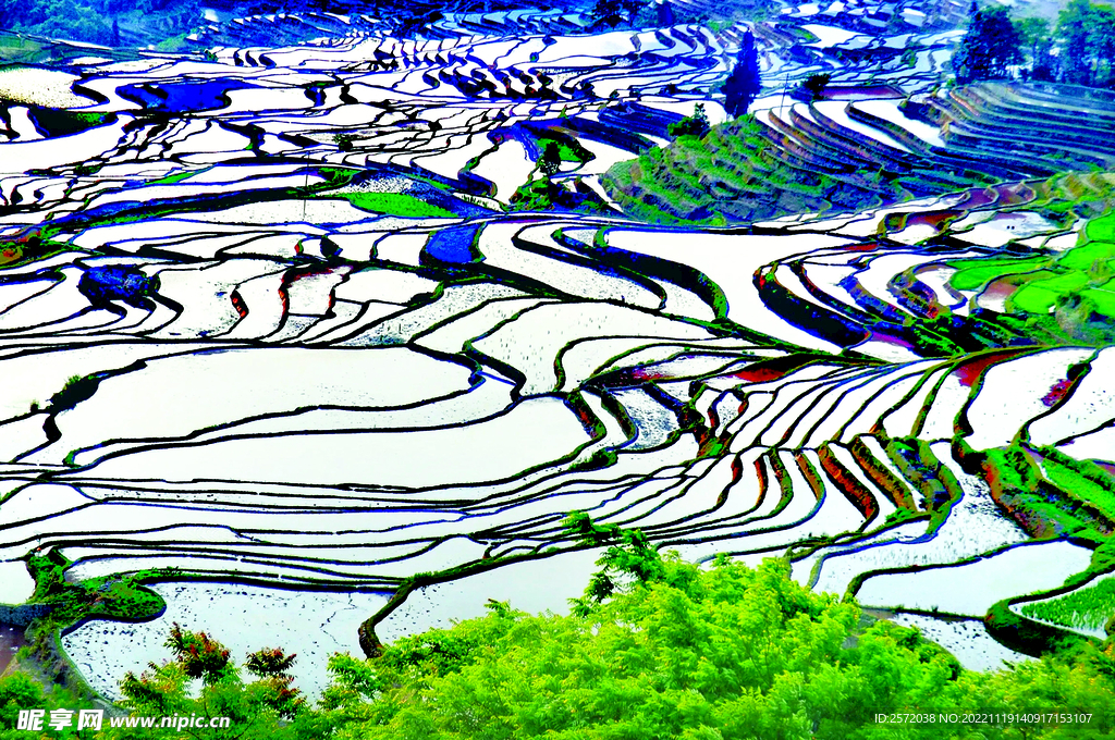 元阳哈尼梯田风光