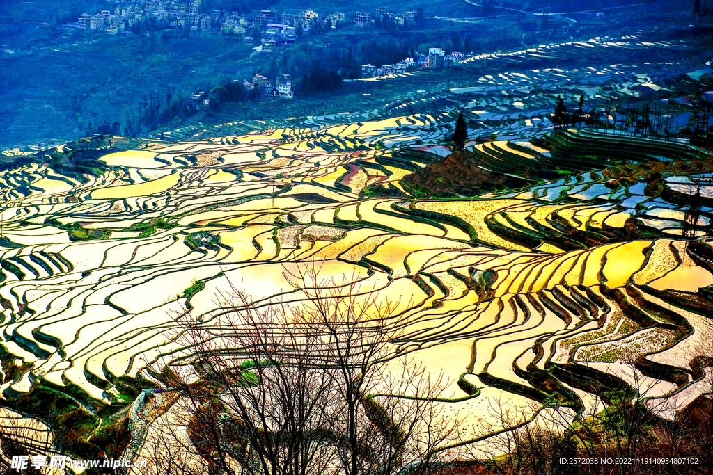 元阳哈尼梯田风光