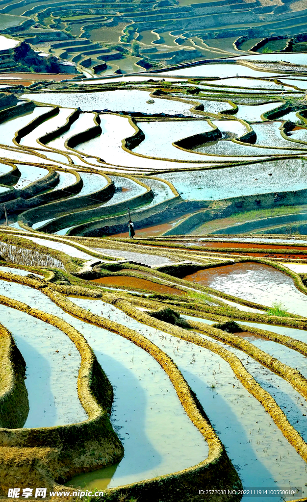 元阳哈尼梯田风光