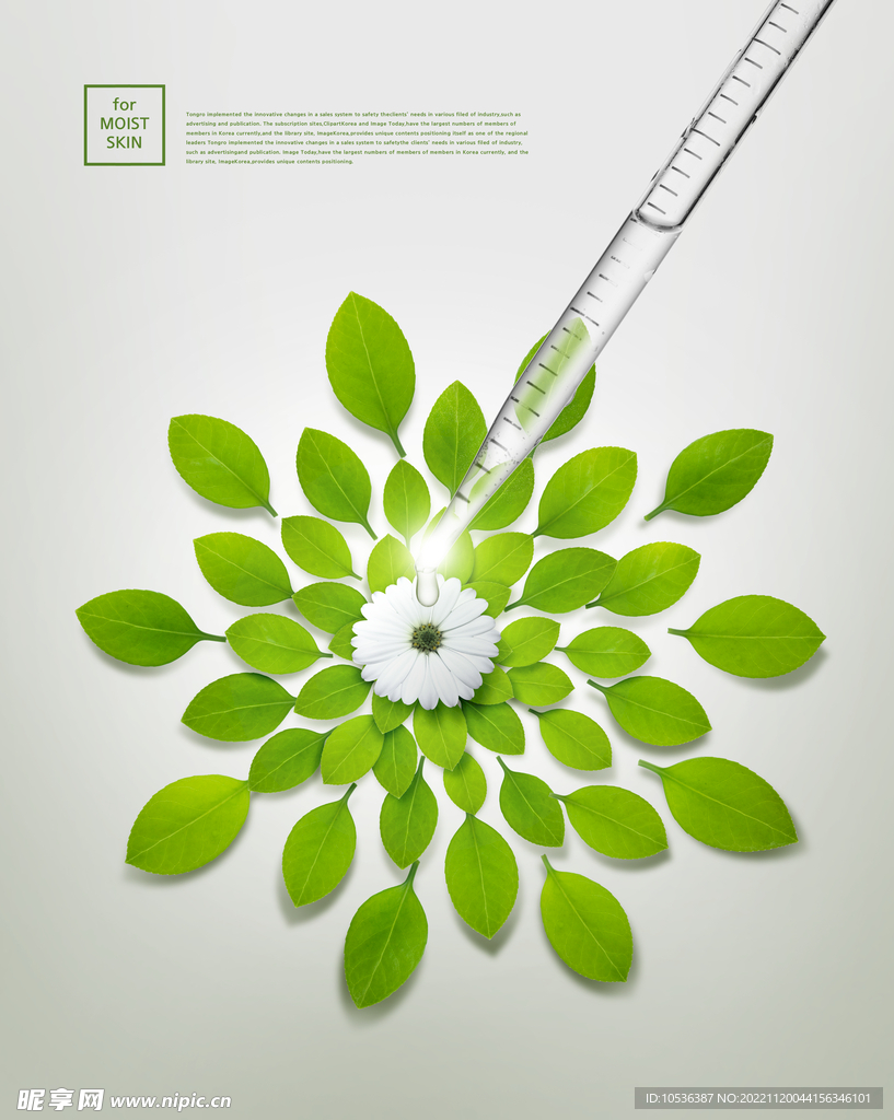 叶子花和滴管