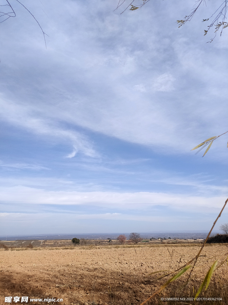 田野