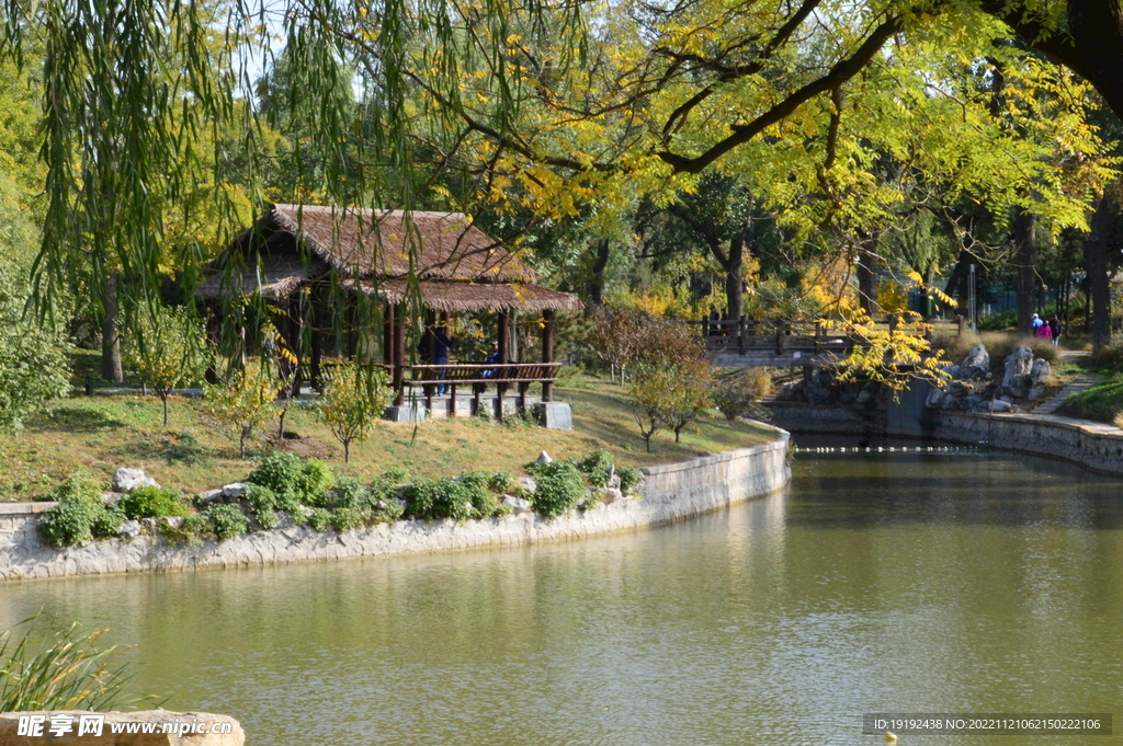  公园风景  