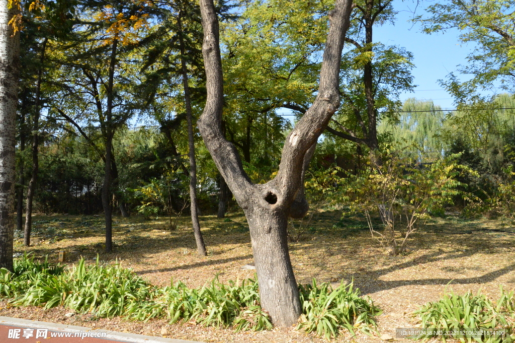 公园风景  
