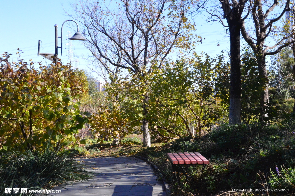 公园风景 