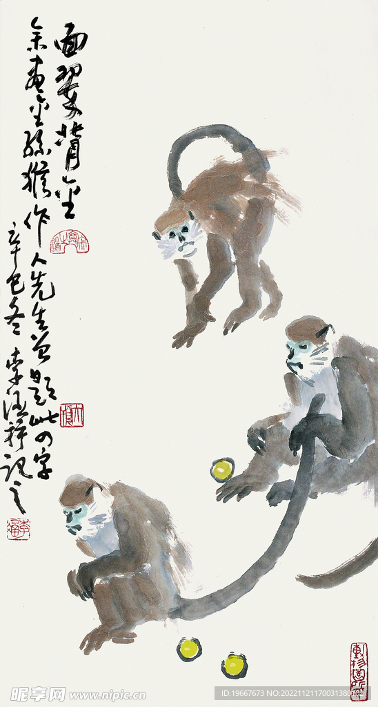 猴趣图