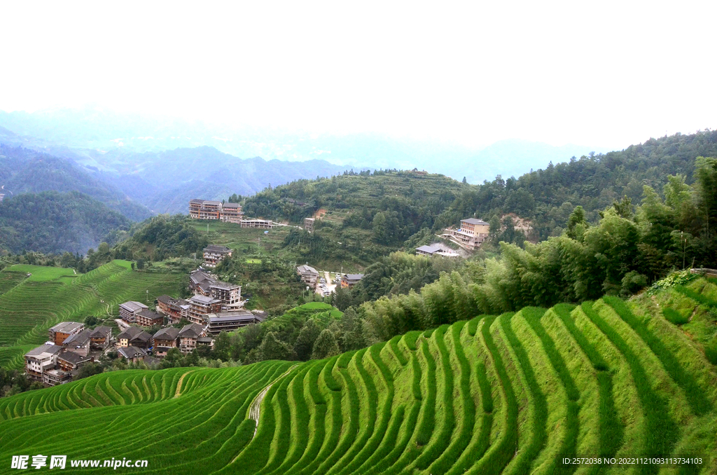 龙胜龙脊梯田风光