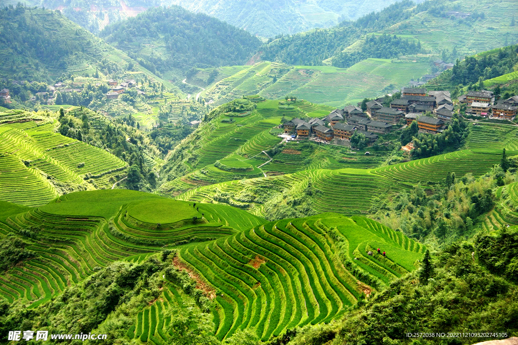 龙胜龙脊梯田风光
