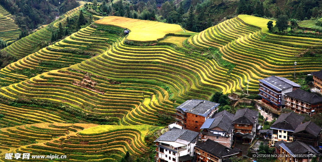 龙胜龙脊梯田风光