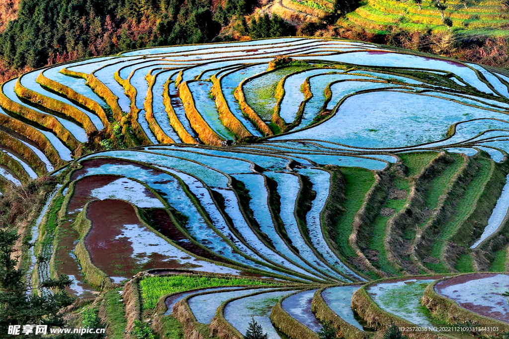 龙胜龙脊梯田风光