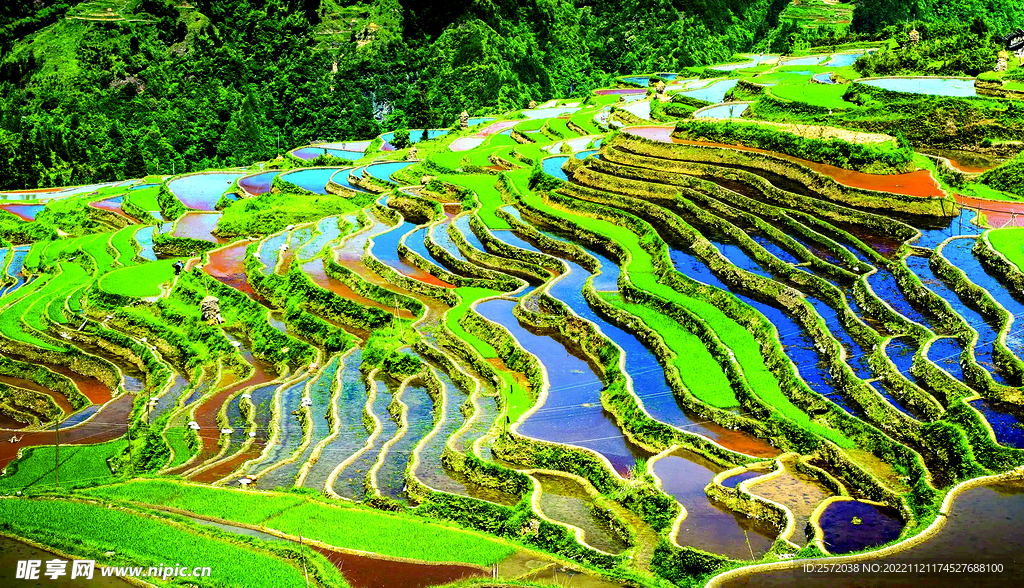 从江加榜梯田风光