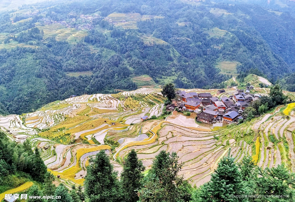 从江加榜梯田风光