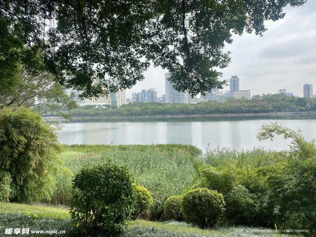 湖边绿草如茵风景