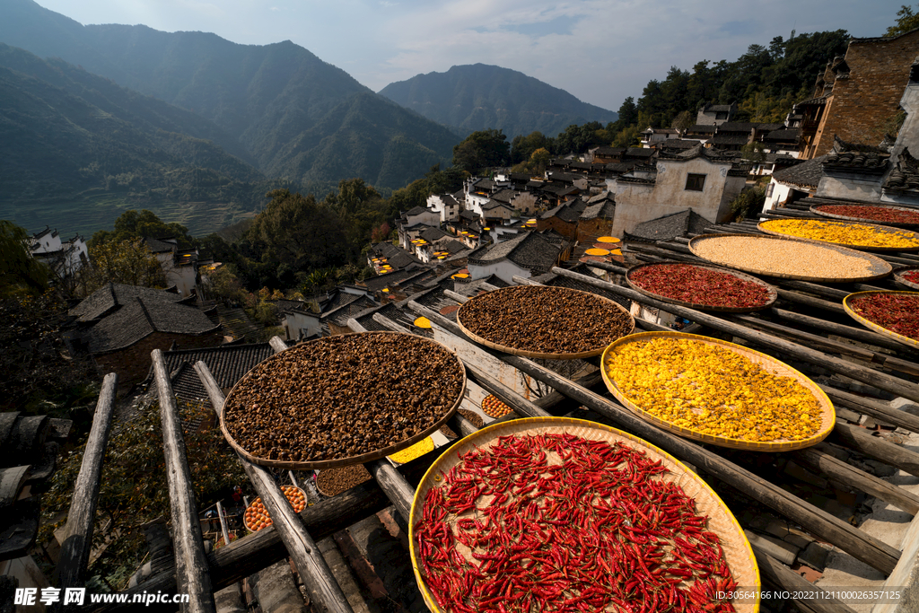 乡村辣椒配料晾晒