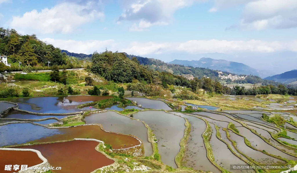元阳哈尼梯田风光