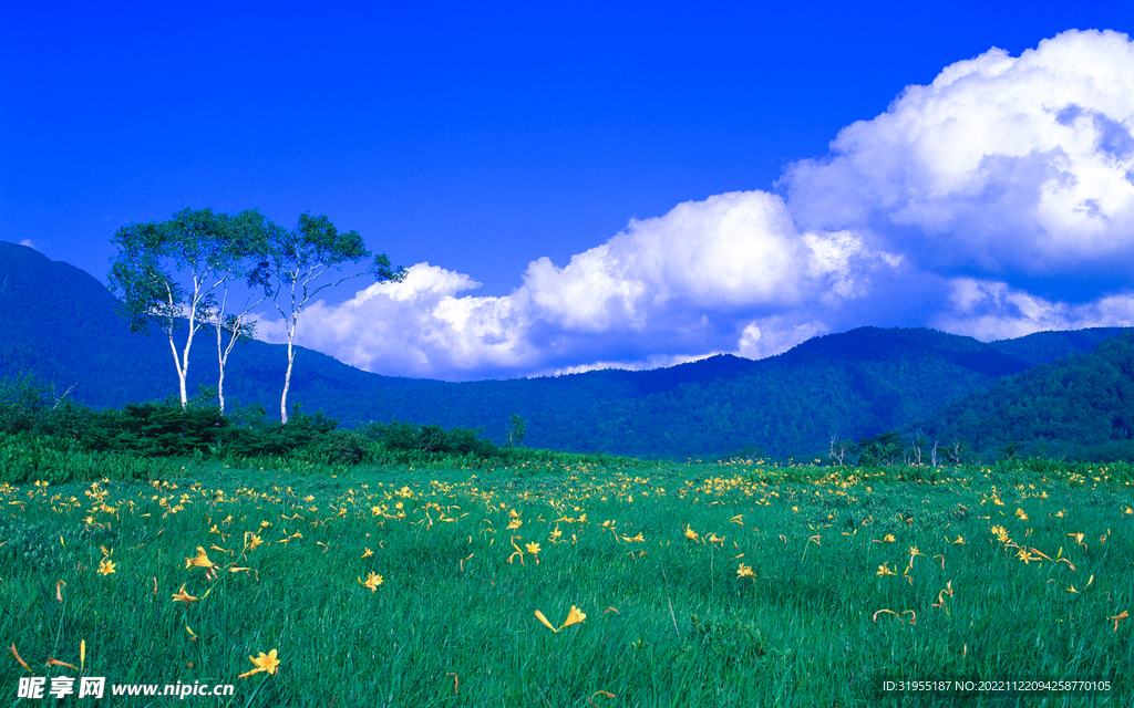 自然风景