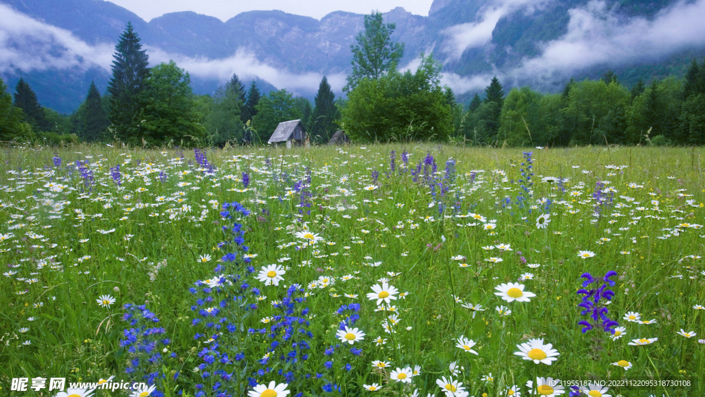 自然风景