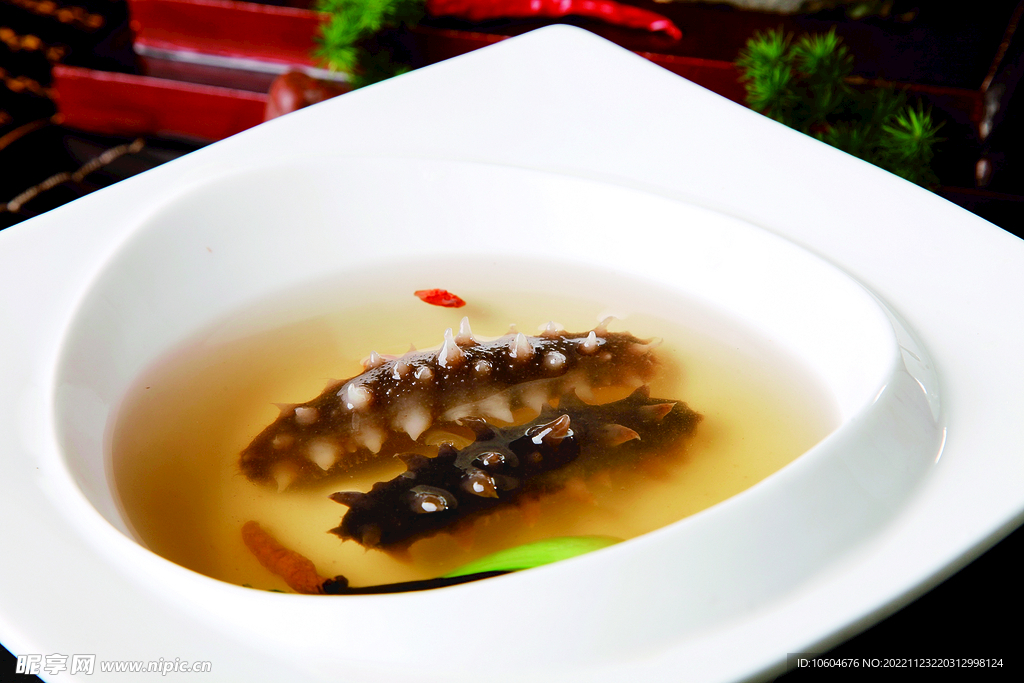 虫草炖辽参
