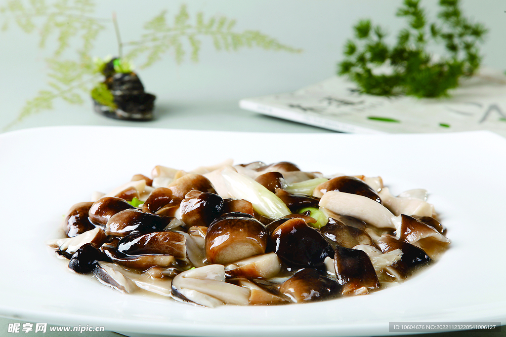 葱烧草菇