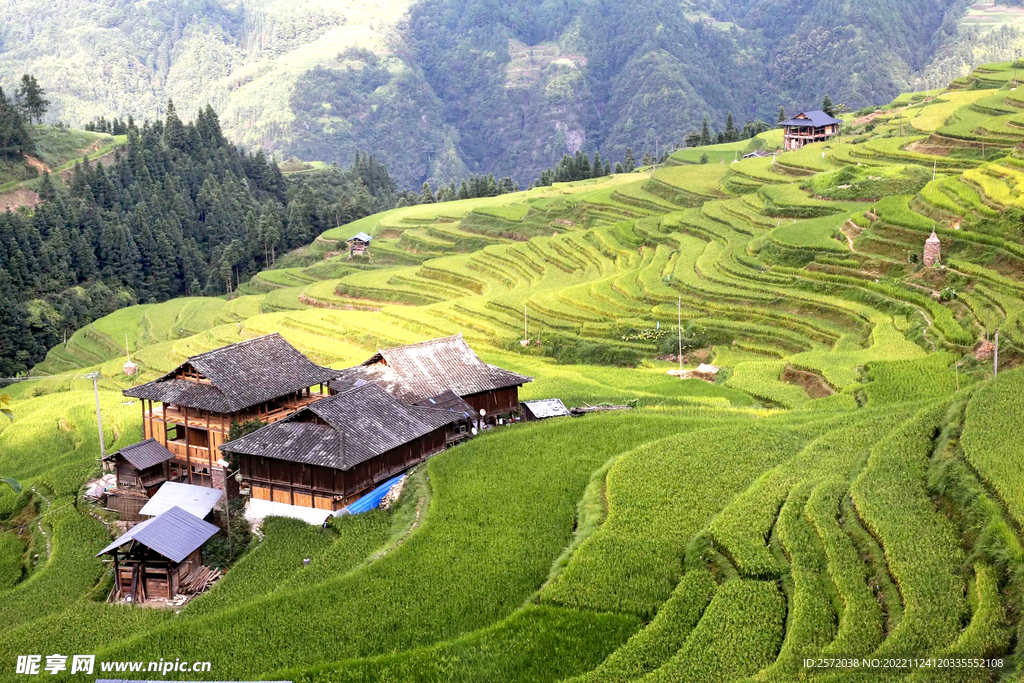 从江加榜梯田风光