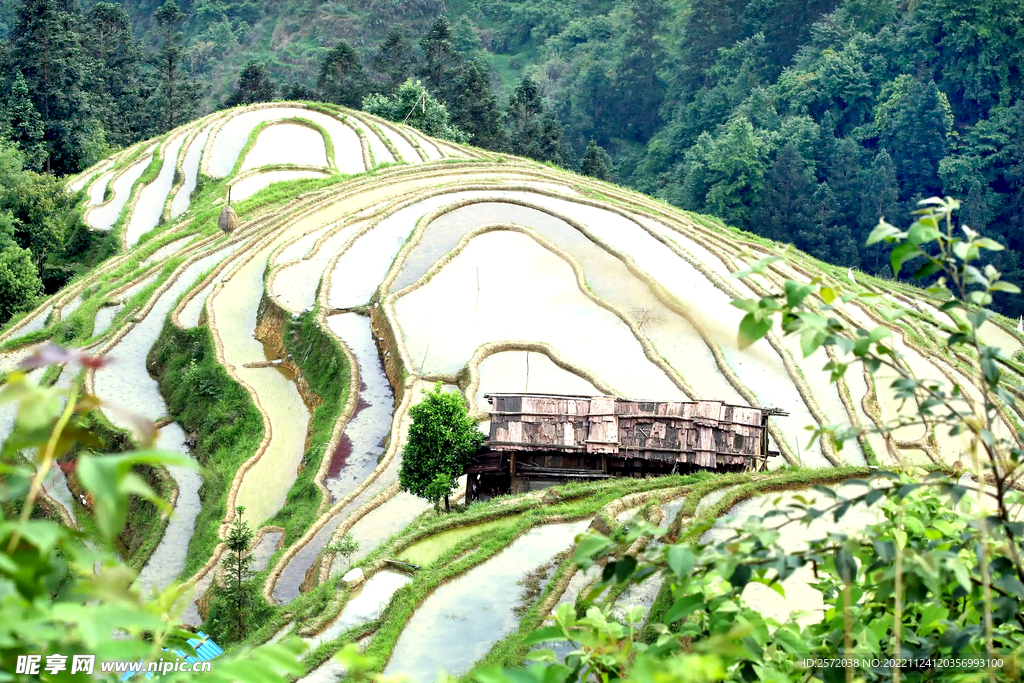 从江加榜梯田风光