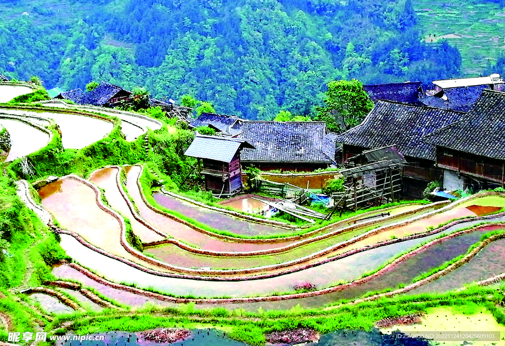 从江加榜梯田风光