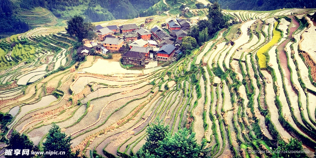 从江加榜梯田风光