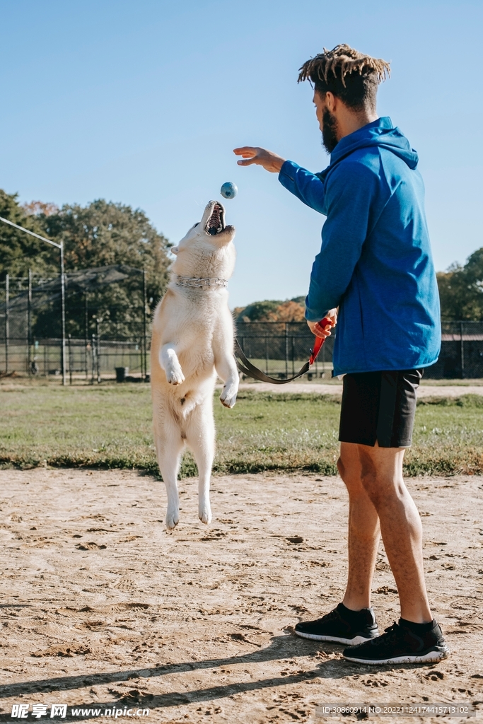 狗狗