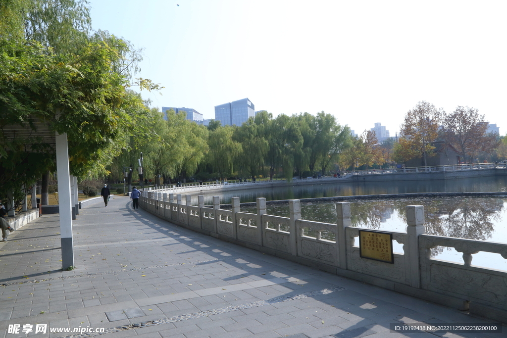 莲花池风景  