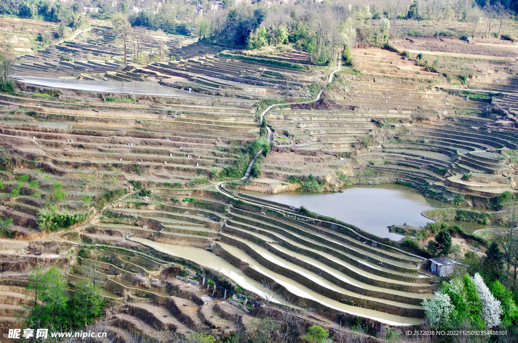 元阳哈尼梯田风光