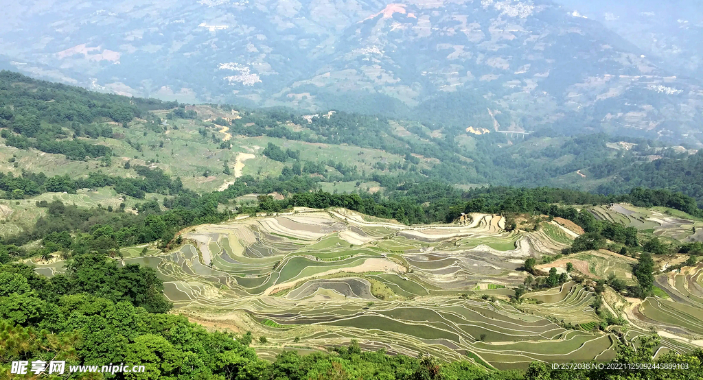 元阳哈尼梯田风光