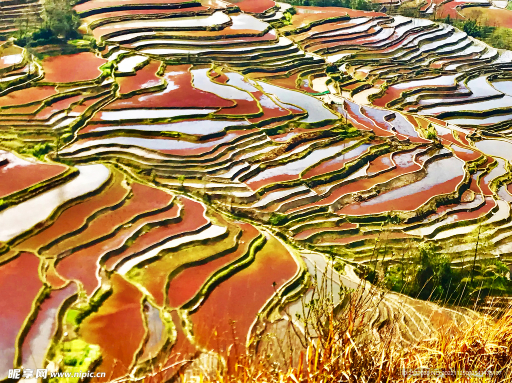元阳哈尼梯田风光