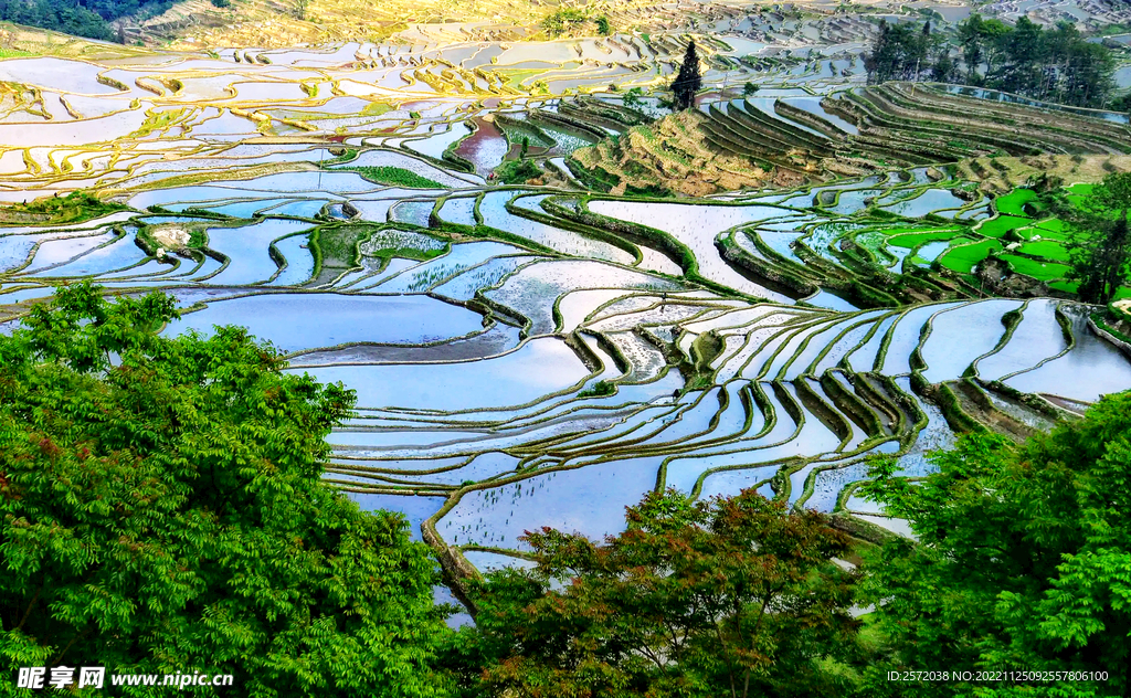 元阳哈尼梯田风光