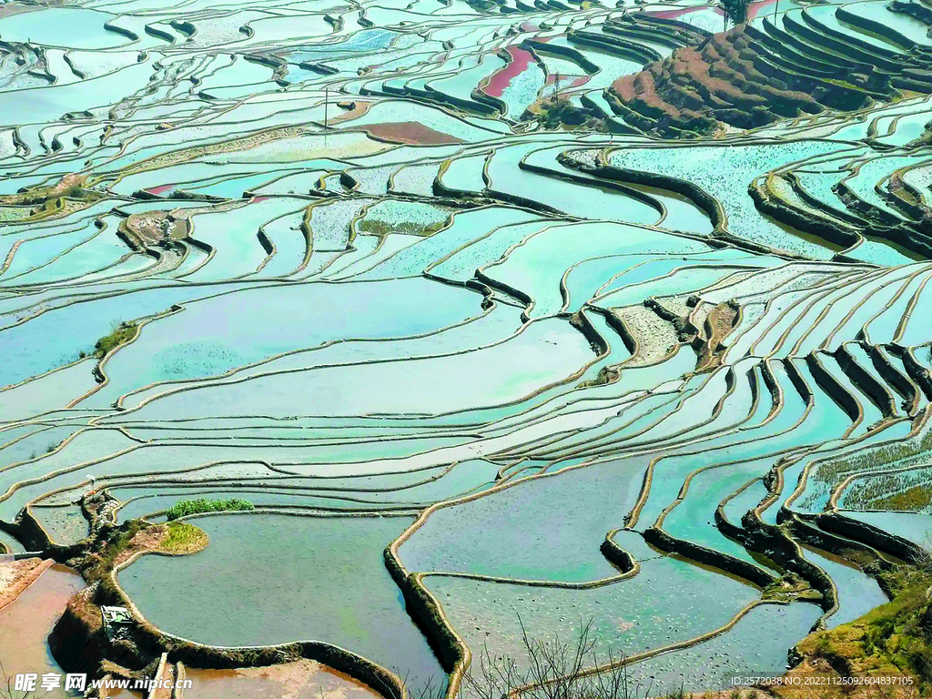 元阳哈尼梯田风光