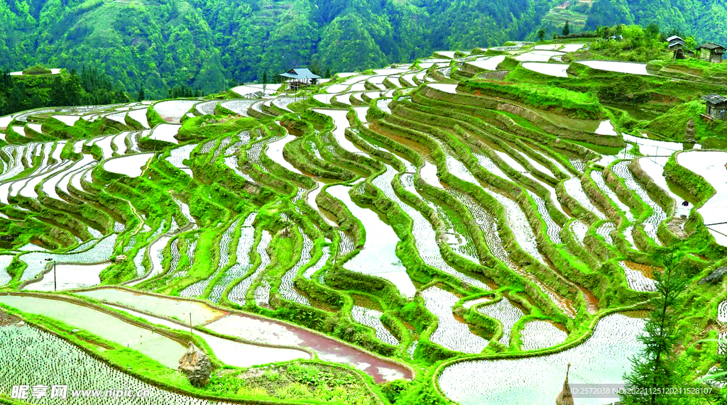 从江加榜梯田风光