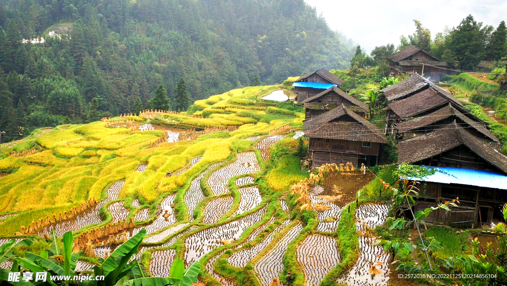 从江加榜梯田风光