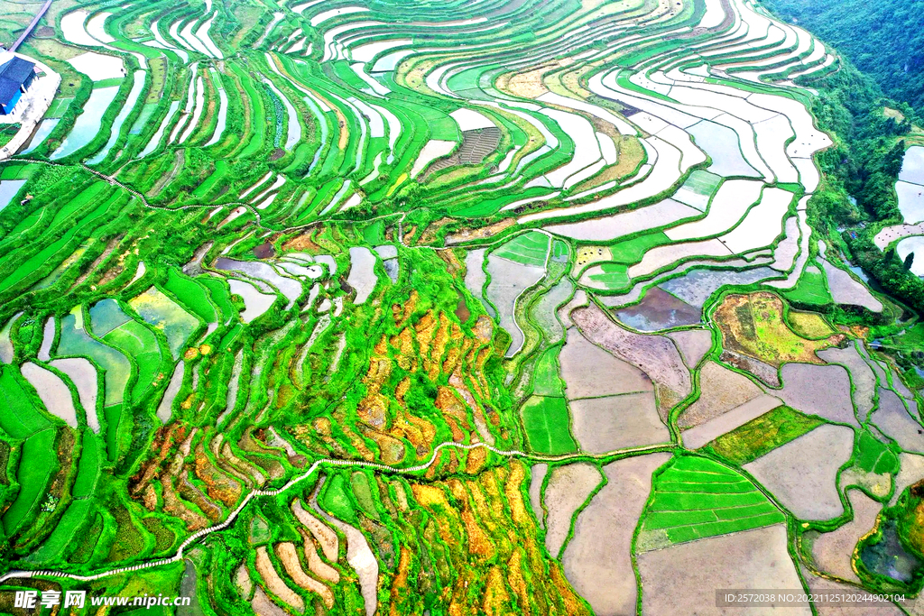 从江加榜梯田风光