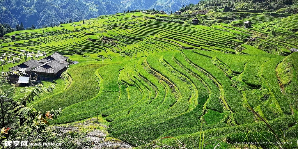 从江加榜梯田风光