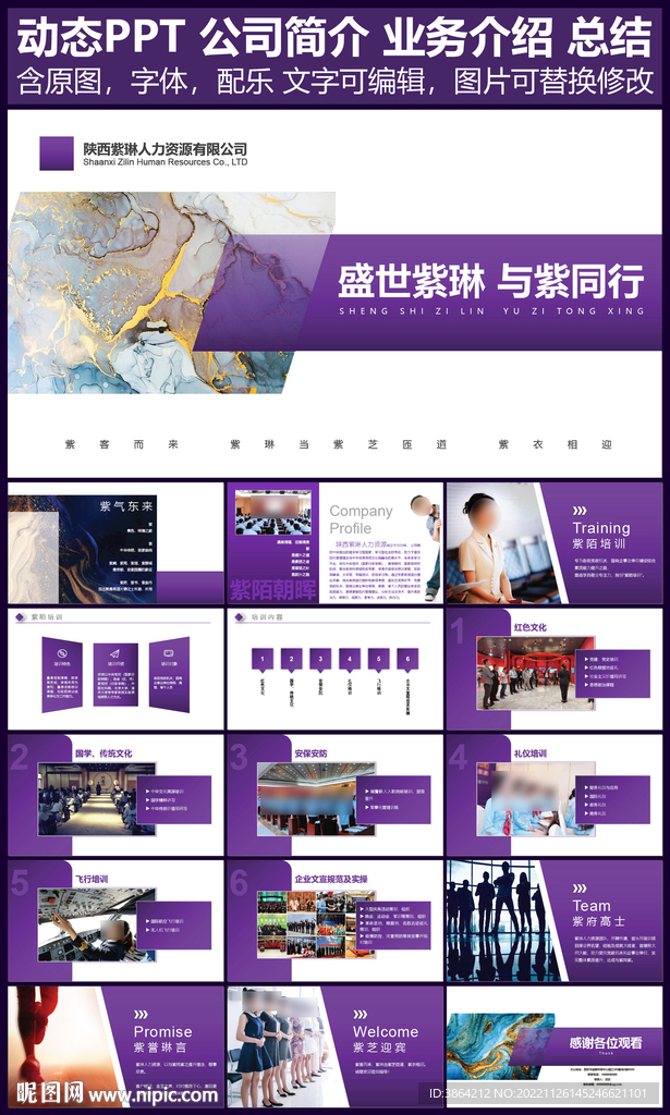 公司简介业务PPT